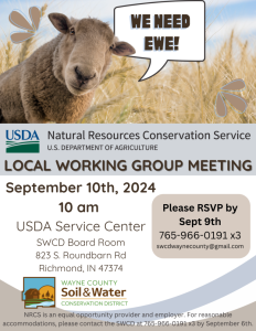 WE NEED EWE 768x994 1 232x300